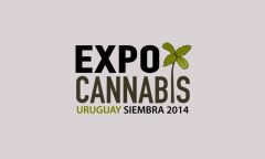 Expo Cannabis 2014 - Uruguay