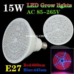 Led 15w