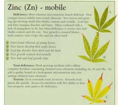 zinc info marijuana