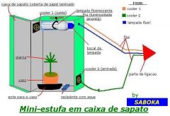 Mini estufa em caixa de sapato