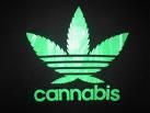 Cannabis