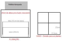 plano de scrog