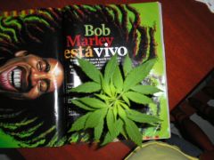 Bob ainda vive...