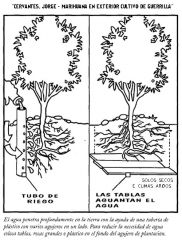 rega profunda e oxigenaçao