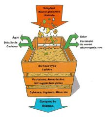 Compostagem