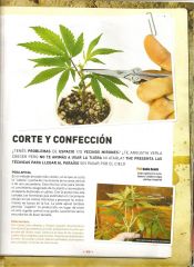 Revista THC - Podas