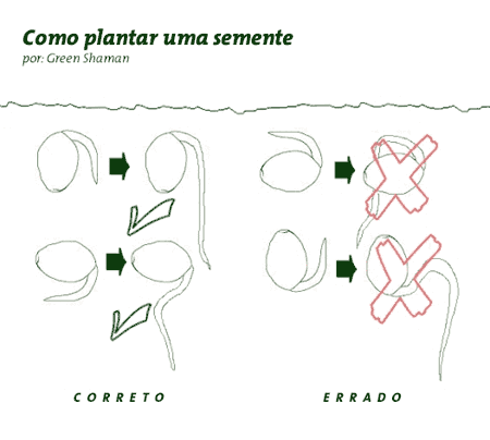 Explicativos