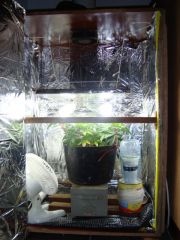 Growroom