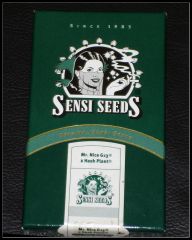 Box Sensi Seeds