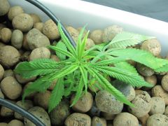 growsept_2 021.jpg