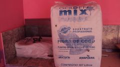 fibra coco