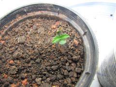 3ª Planta