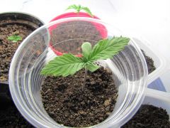 2ª Planta