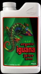 iguana_juice_bloom_bg.jpg