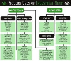 Industrial Hemp.jpg