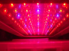 tri-band 120w led grow light.JPG