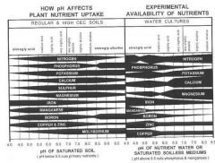 tabela de absorção de nutris.jpg