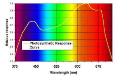 photosyn_response.jpg