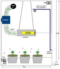 1grow.JPG