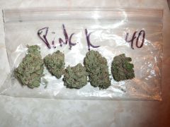 Pink Kush