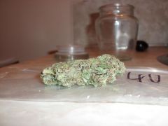 Organic Purple Kush