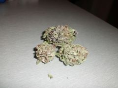 Organic Purple Kush