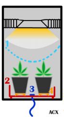 esboço para flush com scrog