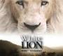 White Lion