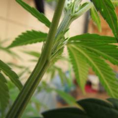 IMG_9357.JPG