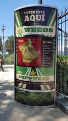 Expo Weed 2015 - Chile