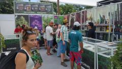 Expo Weed 2015 - Chile