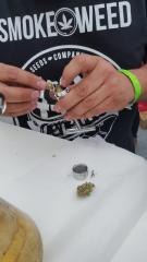 Expo Weed 2015 - Chile