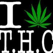 Puro THC