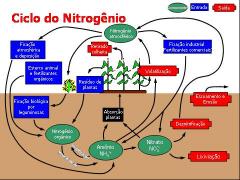 57b314c3717bc-nitrognio8.jpg