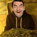 MrCannabis