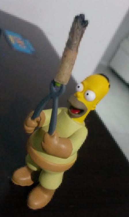 homer-stoned.jpg