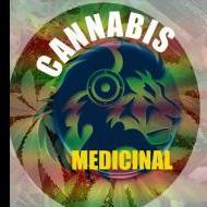 Cannabis Medicinal