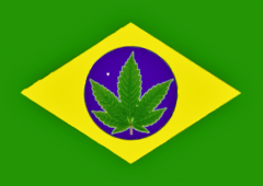 Bandeira Final 3.png