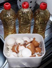 375 knf wsca ingredients egg sheels and apple vinegar.jpg