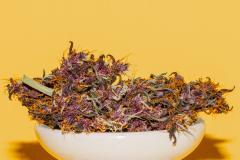 Purple-Buddah-Kush-31.jpg