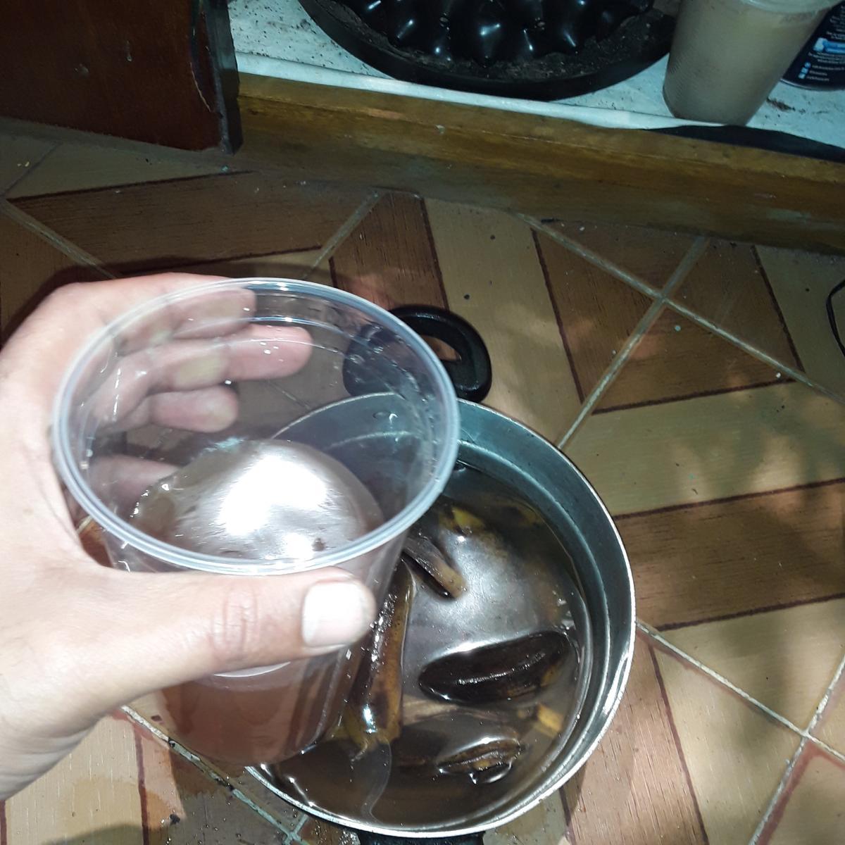 1_doses_dessa_nas_ultimas_2_semanas_de_flora_uma_por_semana.jpg