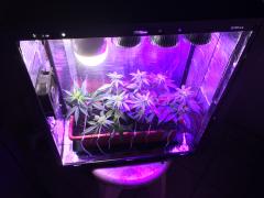 Pc Grow 6, Full Spectrum Test