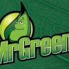 Mr.Green