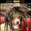 Dogmarley