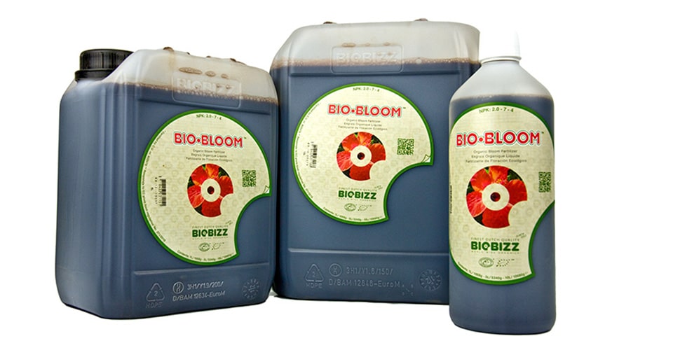 BIO BLOOM
