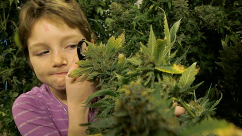 Mykayla iniciou o uso da cannabis aos 7 anos de idade para tratar leucemia.