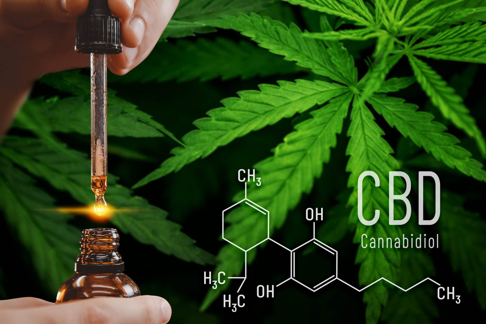 cbd-tudo-sobre-os-benef-cios-medicinais-do-canabidiol