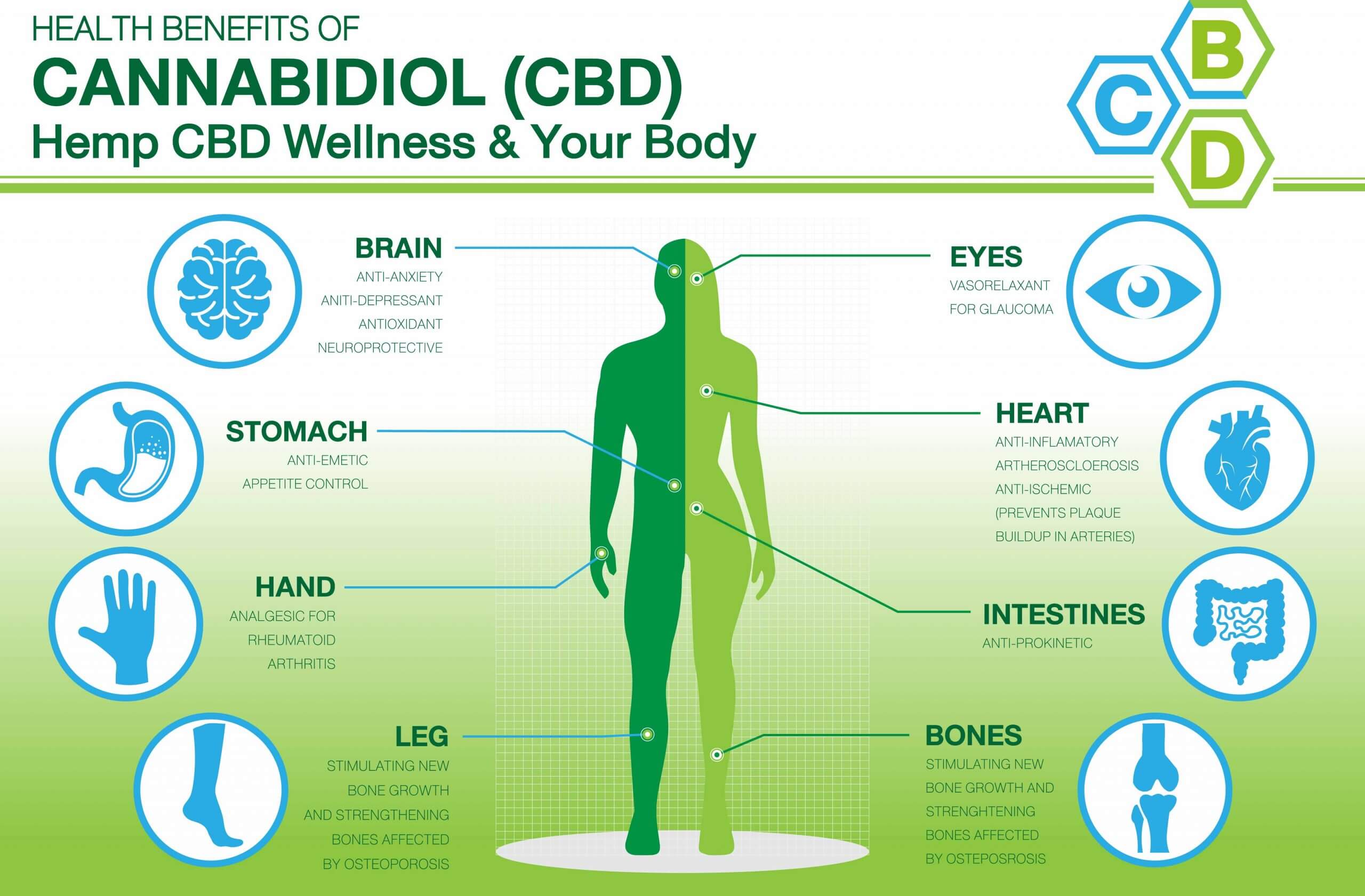 Cbd Tudo Sobre Os Benefícios Medicinais Do Canabidiol 