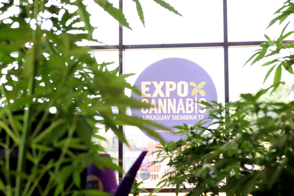 ExpoCannabis Uruguay 2018