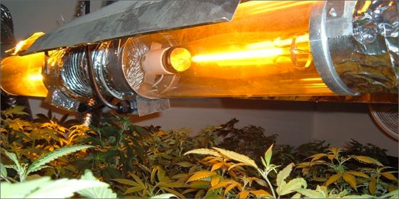 HPS - Lâmpadas para cultivar maconha